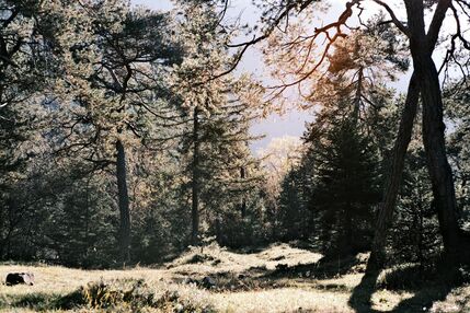 Active vacation Rhön: holidays in the Biosphere Reserve