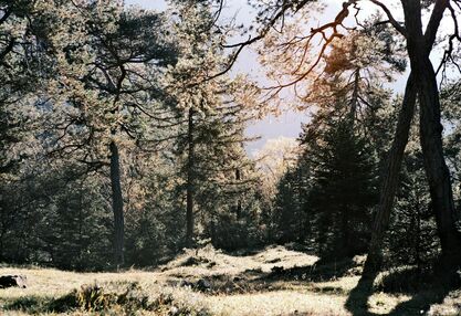 Aktivurlaub Rhön: Urlaub im Biosphärenreservat Rhön Aktivurlaub Rhön: Urlaub im Biosphärenreservat Rhön